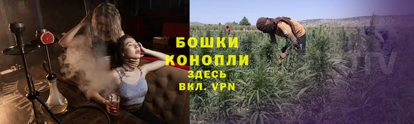 прущая мука Новодвинск
