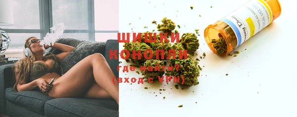гашик Новокубанск