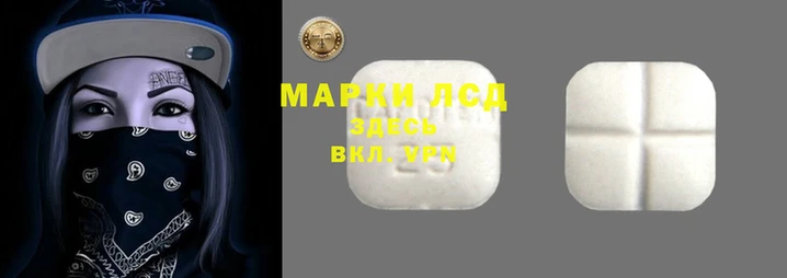 гашик Новокубанск