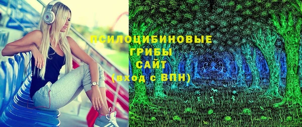 мдпв Надым