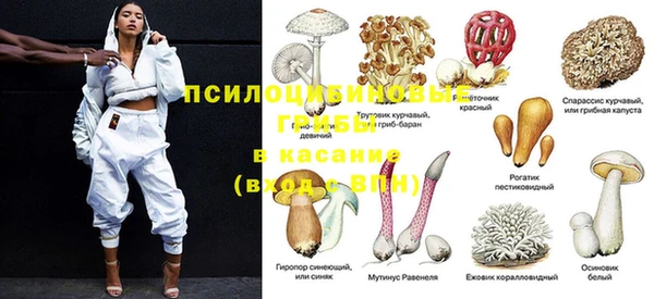 шишки Володарск