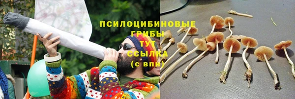 гашиш Новозыбков
