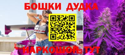 индика Абакан