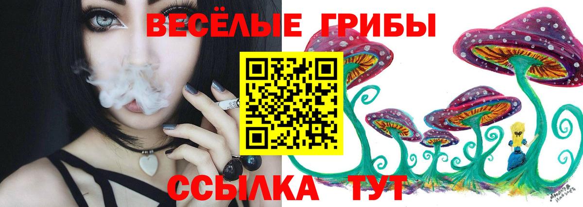 Лосино-Петровский  Псилоцибиновые грибы GOLDEN TEACHER  Псилоцибиновые грибы мухоморы  Вход с VPN 