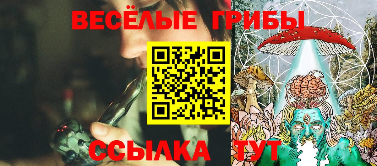 Галлюциногенные грибы прущие грибы Лосино-Петровский